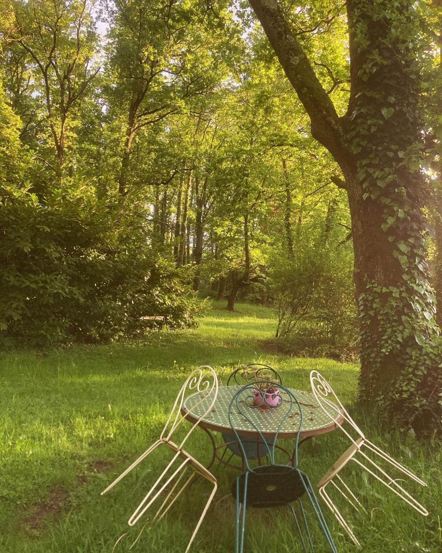 Les Bois De Ravel Chambres D'Hotes Екстер'єр фото